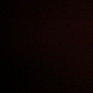 Meet your Posher, Dylan